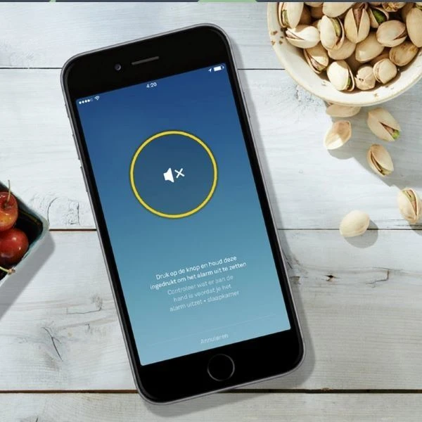 Nest Protect - Rook- En Koolmonoxidemelder S3003LWFD 5 Nest Protect - Rook- En Koolmonoxidemelder S3003LWFD - Afbeelding 5